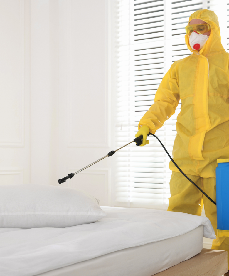 Professional Pest Control Team in Albert Park